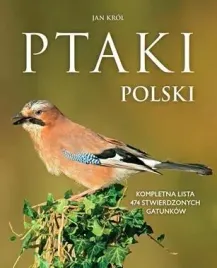 ptaki-polski-jan-krol