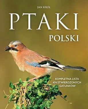 ptaki-polski-jan-krol