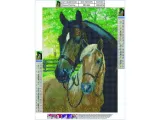 haft-diamentowy-z-koniami-marka-leantoys