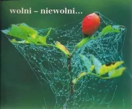 perelka-068-wolni-niewolni-praca-zbiorowa
