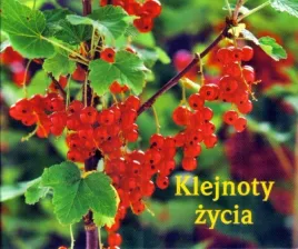 perelka-143-klejnoty-zycia-praca-zbiorowa