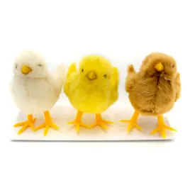 kurczaki-wysokosc-7-cm-3-szt-wpk-8499