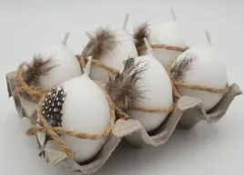 swieca-6szt-jajko-45-60-piorko-przepiorcze-j4560ppa