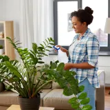 spryskiwacz-do-kwiatow-stan-nowy-zasilanie-reczne