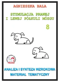 zeszyt-cwiczen-analiza-i-synteza-wzrokowa-material-tematyczny-arson