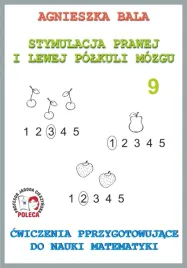 zeszyt-cwiczen-cwiczenia-przygotowujace-do-nauki-matematyki-arson