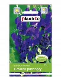 groszek-pachnacy-granatowy-2g-plantico
