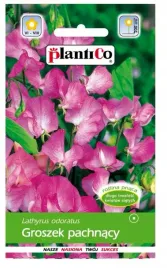 groszek-pachnacy-rozowy-2g-plantico
