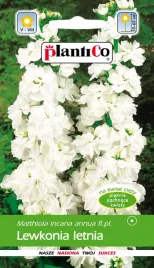 lewkonia-letnia-biala-05g-plantico