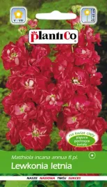 lewkonia-letnia-czerwona-05g-plantico