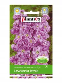 lewkonia-letnia-fioletowa-05g-plantico