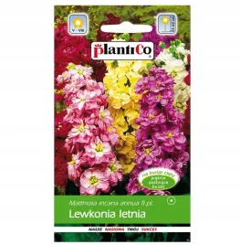 lewkonia-letnia-mix-05g-plantico