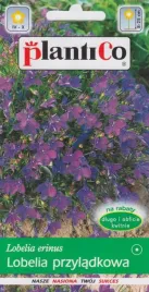 lobelia-zwisajaca-przyladkowa-ciemno-niebiesko-fioletowa-01g-plantico