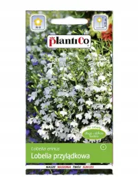 lobelia-przyladkowa-biala-02g-plantico