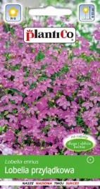 lobelia-przyladkowa-rozowa-02g-plantico