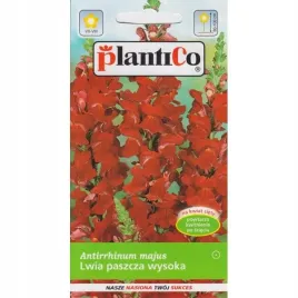 lwia-paszcza-wysoka-czerwona-05g-plantico