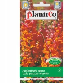 lwia-paszcza-wysoka-pomaranczowa-05g-plantico