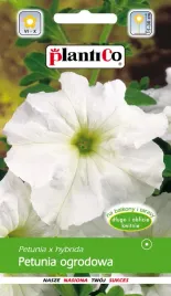 petunia-ogrodowa-biala-005g-plantico