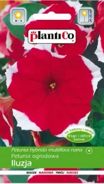 petunia-ogrodowa-iluzja-czerwona-005g-nasiona-plantico