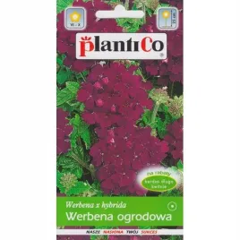 werbena-ogrodowa-fioletowa-05g-plantico