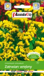 zatrwian-wrebny-zolty-02g-plantico