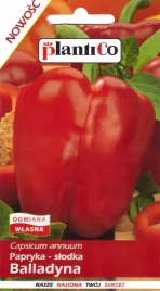 papryka-slodka-balladyna-05g-plantico
