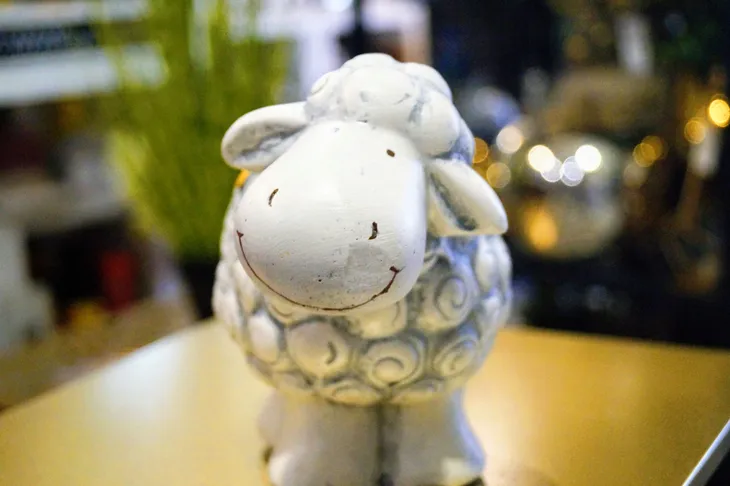 owca-stan-nowy-kod-producenta-tex-zc9021