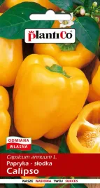 papryka-slodka-calipso-05-g-plantico