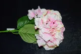 hortensja-pojedyncza-66cm-kod-producenta-ak70-ma-a98