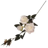 galazka-rozy-96-cm