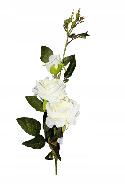 galazka-rozy-96-cm-rodzaj-galazki