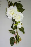 galazka-rozy-96-cm-kod-producenta-pre-50-36