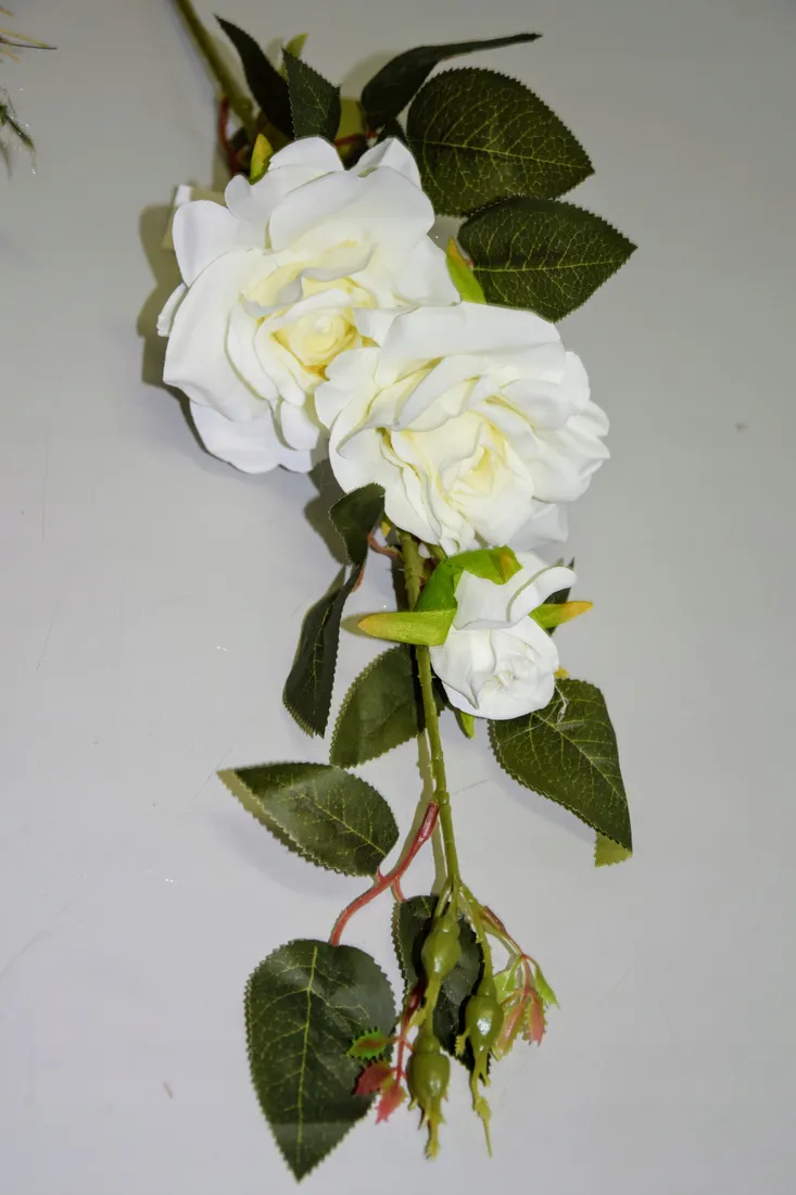 galazka-rozy-96-cm