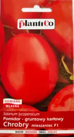 pomidor-gruntowy-karlowy-chrobry-05g-plantico