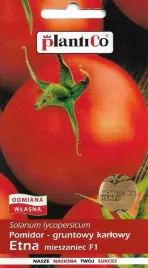 pomidor-gruntowy-karlowy-etna-05g-plantico