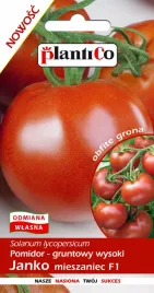 pomidor-gruntowy-wysoki-janko-02g-plantico