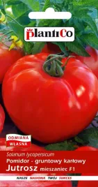 pomidor-gruntowy-karlowy-jutrosz-05g-plantico