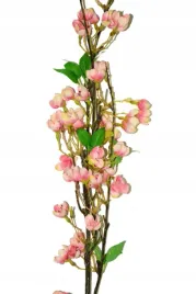 jablonka-galazka-127cm