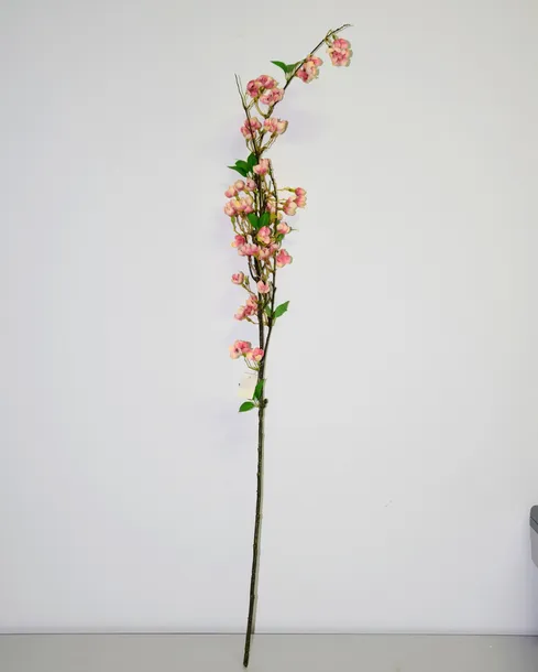 jablonka-galazka-127cm-rodzaj-galazki