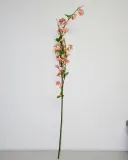 jablonka-galazka-127cm-rodzaj-galazki