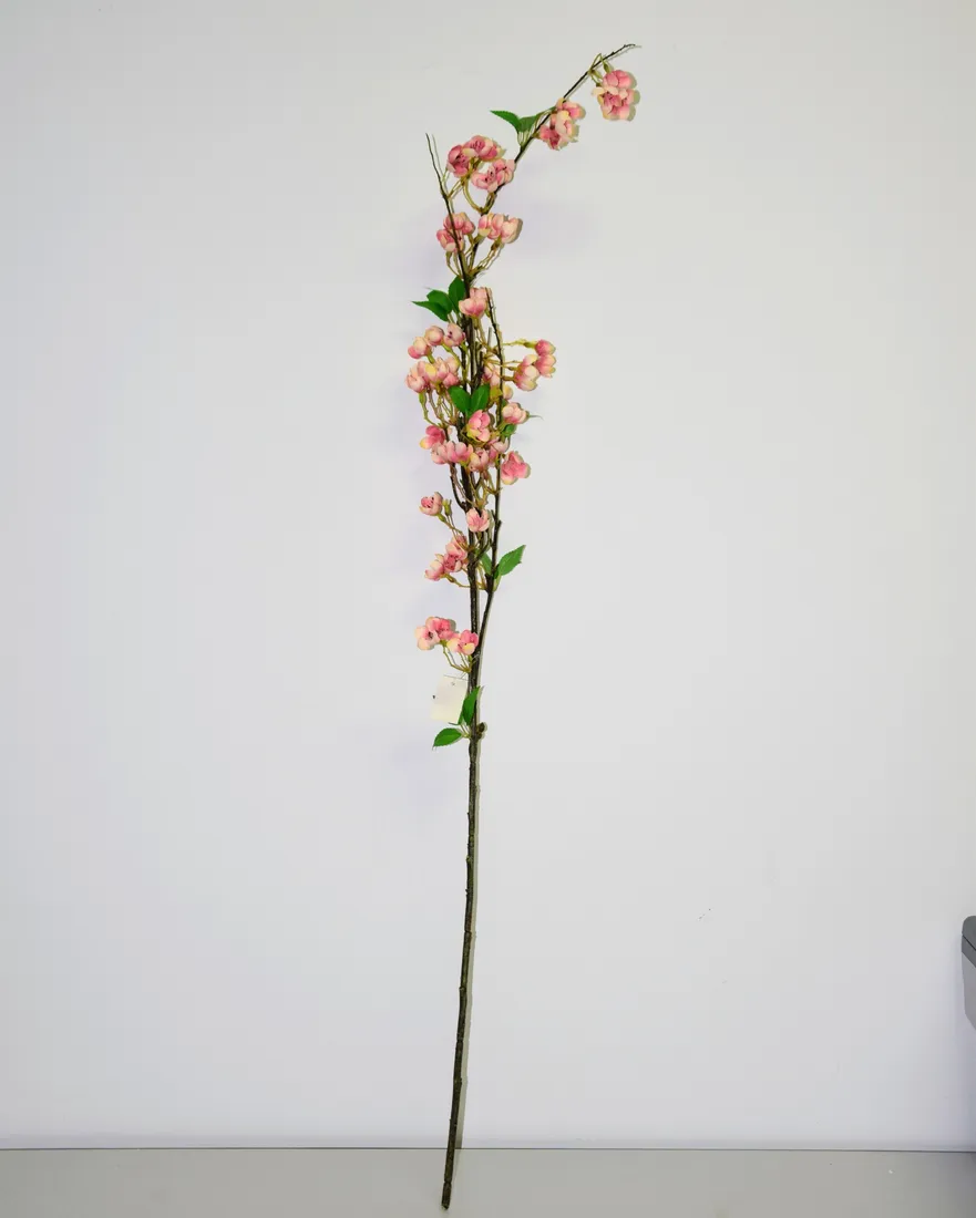 jablonka-galazka-127cm