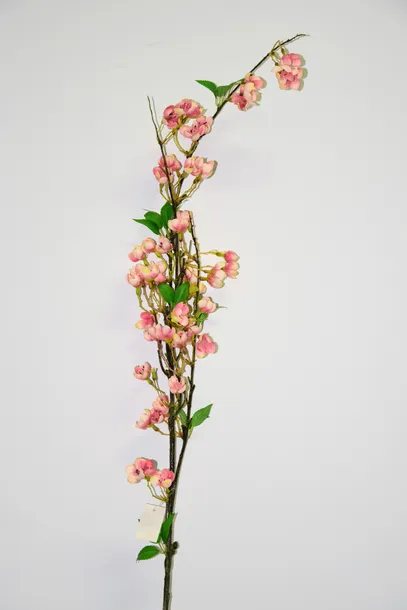 jablonka-galazka-127cm-wysokosc-maksymalna-127-cm