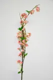 jablonka-galazka-127cm-wysokosc-maksymalna-127-cm