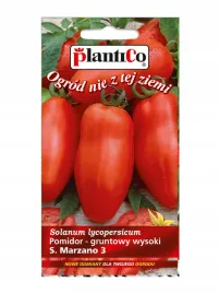 pomidor-gruntowy-wysoki-s-marzano-3-02g-plantico