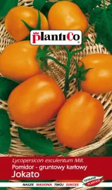 pomidor-gruntowy-karlowy-jokato-05g-plantico