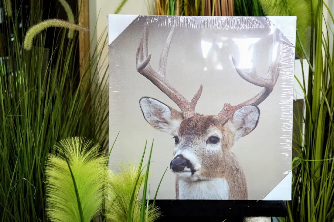 obraz-drukowany-40x40cm