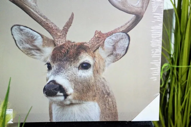 obraz-drukowany-40x40cm-sposob-wykonania-druk-cyfrowy