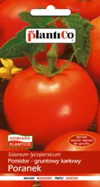 pomidor-gruntowy-karlowy-poranek-1g-plantico