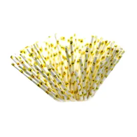 slomki-biodegradowalne-papierowe-20cm-sr-6-10szt-tamipol