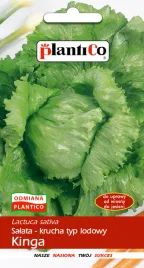 nasiona-otoczkowane-salata-krucha-kinga-okolo-150-nasion-plantico